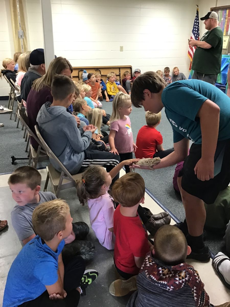 Library Zoo Day 2